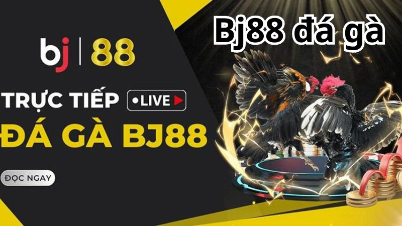 BJ88 - Link xem đá gà trực tiếp 