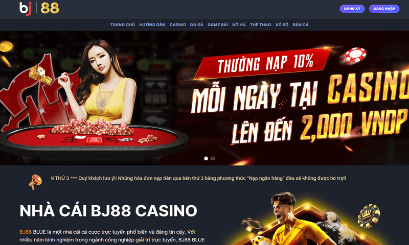 Casino Live siêu hấp dẫn